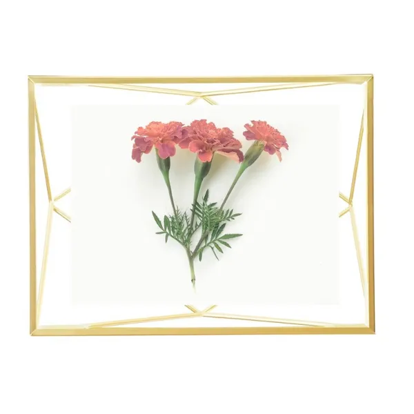 313016-221 - Prisma - Picture Frame, 10x15, matte brass