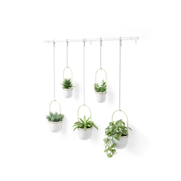 1018086-524 - TRIFLORA Large Hanging Flowerpot Set of 5, white/brass