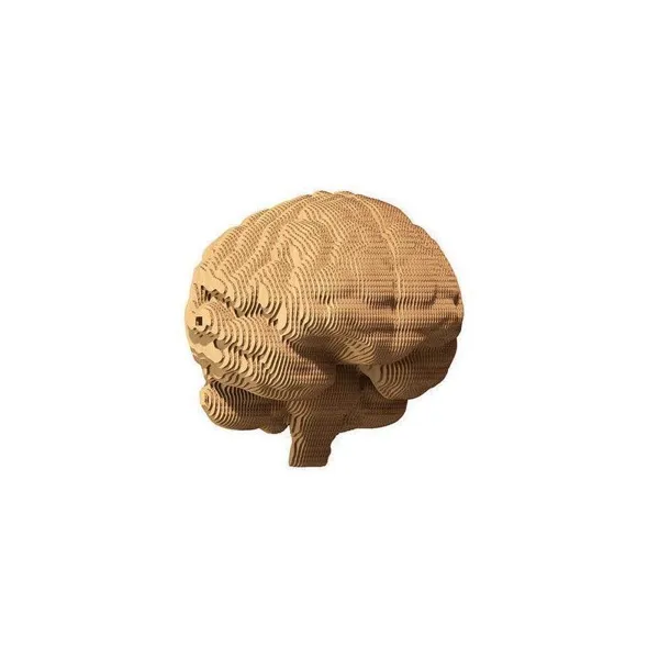 CARTBRAIN - Brain