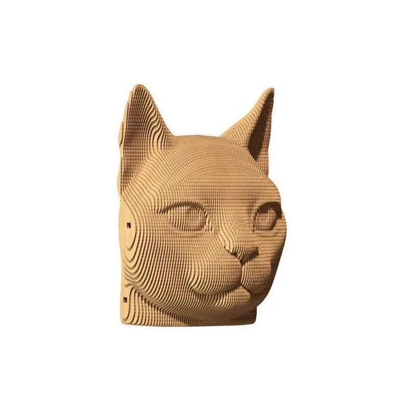 CARTCAT - Cat