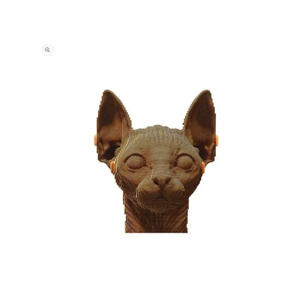 Sphynx Cat