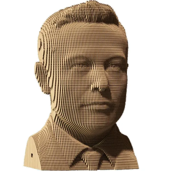 CARTMELN - Elon Musk