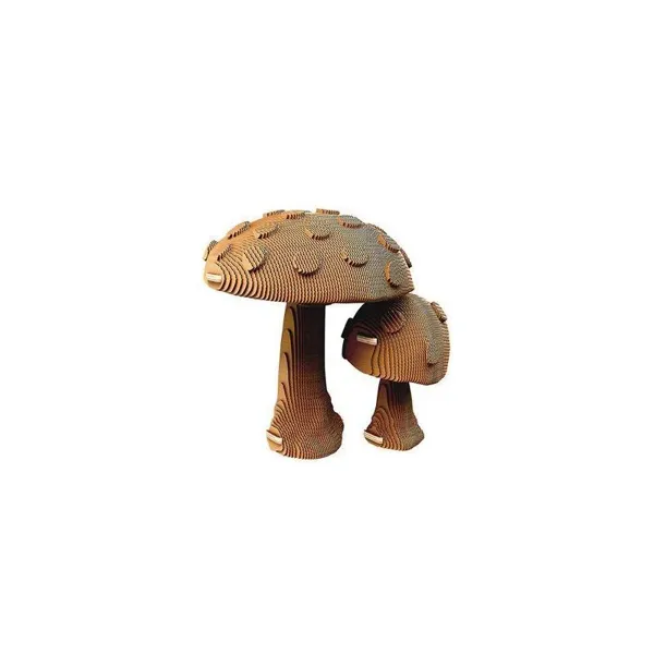 Pilze