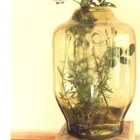 AGL0172 - Glass vase BEE olive